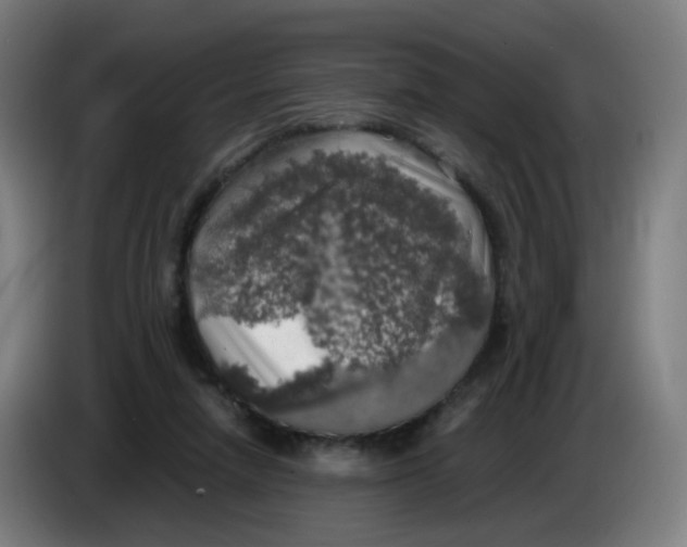 X0000085250258200703301816