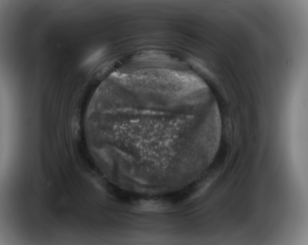 X0000085250259200703301816