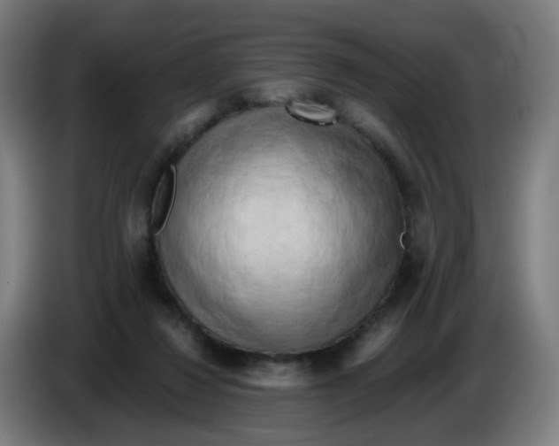 X0000085250260200703301816