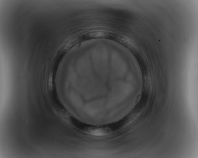 X0000085250267200703301817