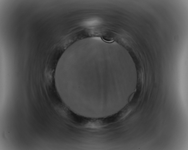 X0000085250271200703301817