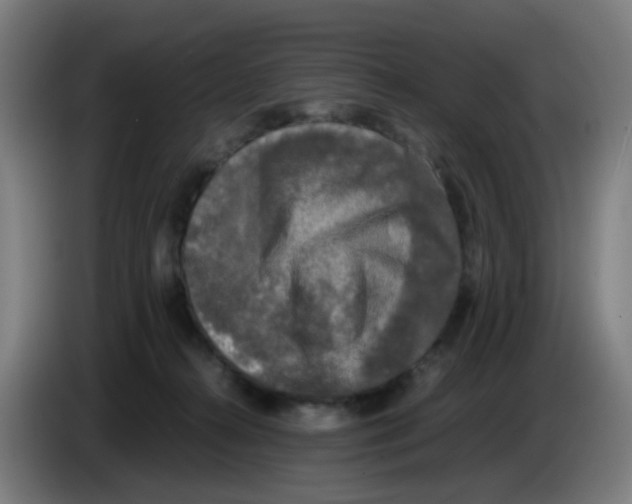 X0000085250272200703301817