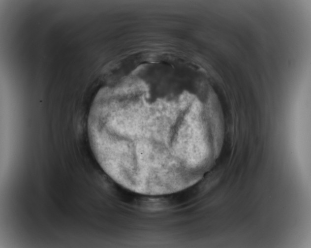 X0000085250277200703301817