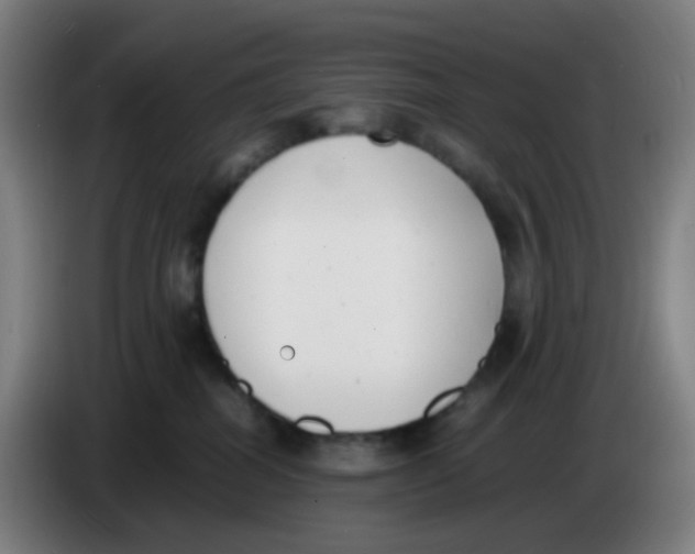 X0000085250282200703301817