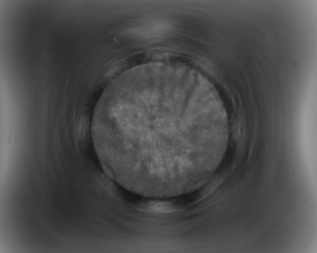 X0000085250283200703301817