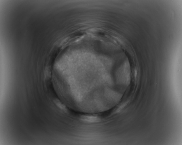 X0000085250284200703301817