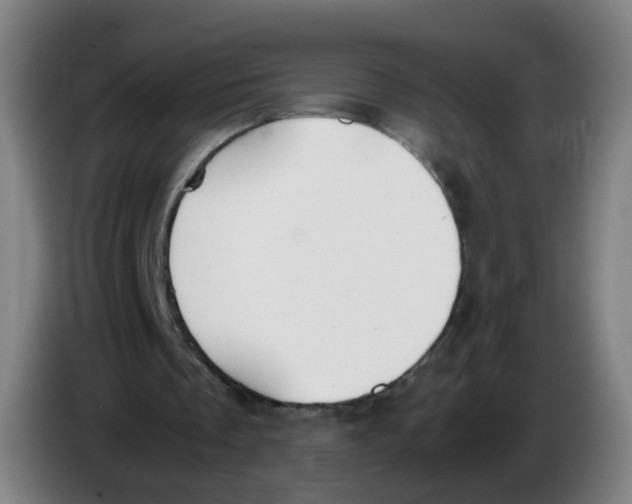 X0000085250289200703301816