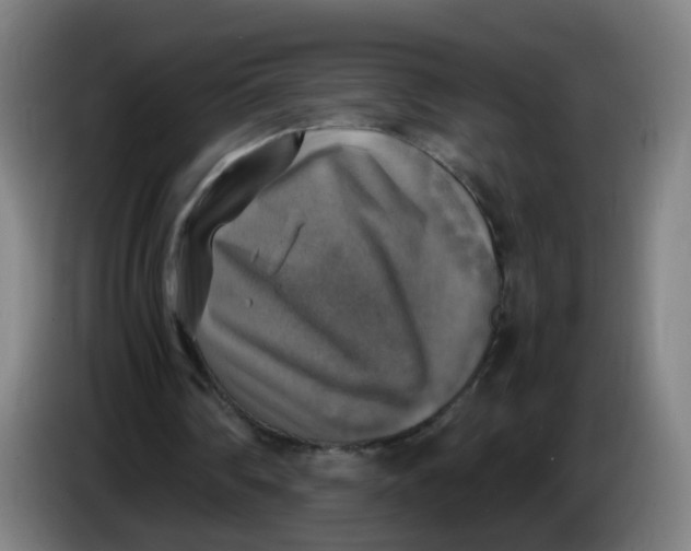 X0000085250290200703301816