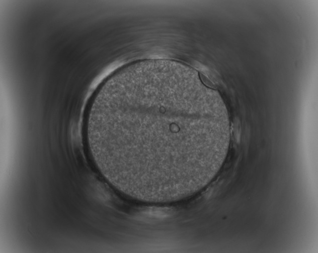 X0000085250292200703301816