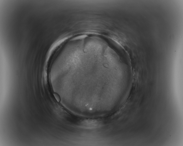 X0000085250294200703301816