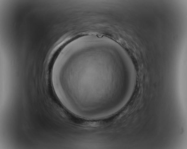 X0000085250295200703301816