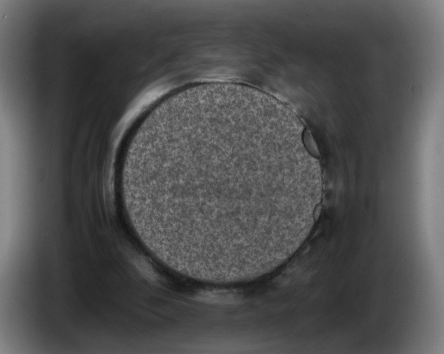 X0000085250296200703301816