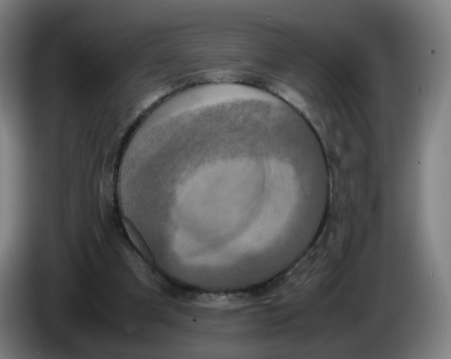 X0000085250297200703301816