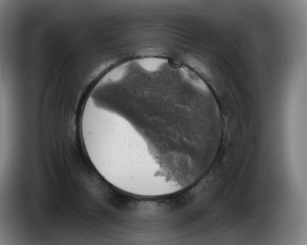 X0000085250298200703301816