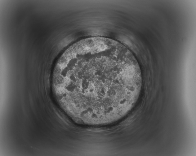 X0000085250299200703301816