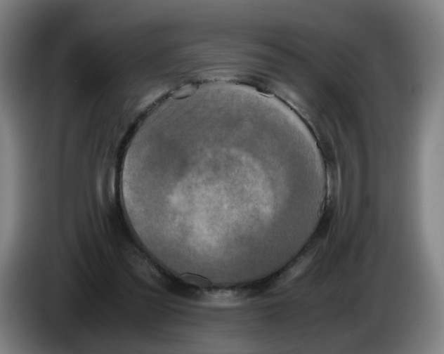 X0000085250301200703301816