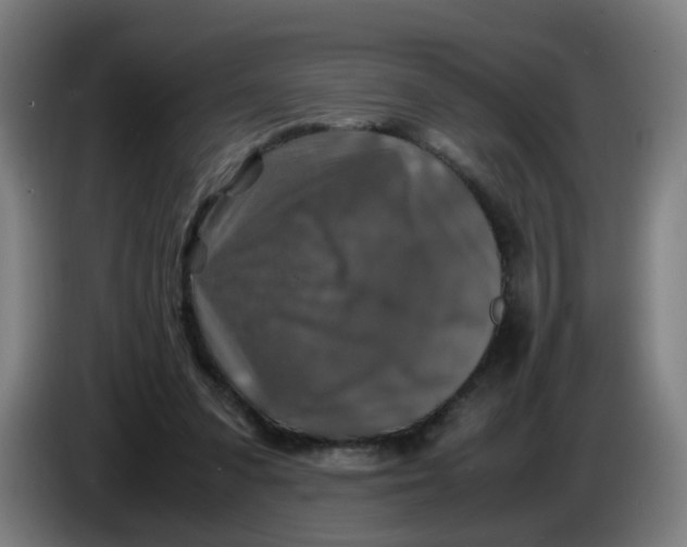 X0000085250303200703301816