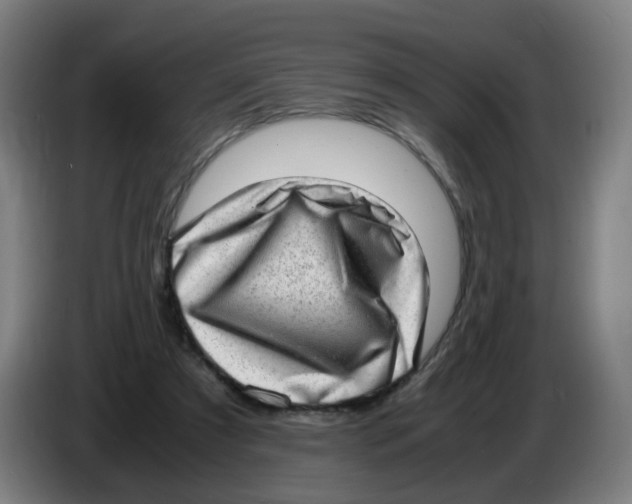 X0000085250305200703301816