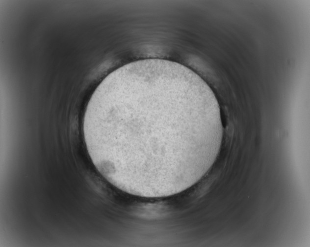 X0000085250306200703301816