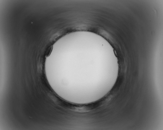 X0000085250309200703301816