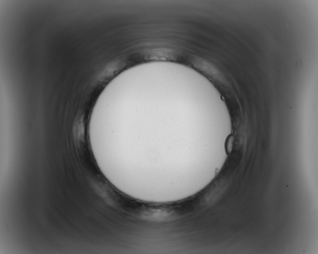 X0000085250310200703301816