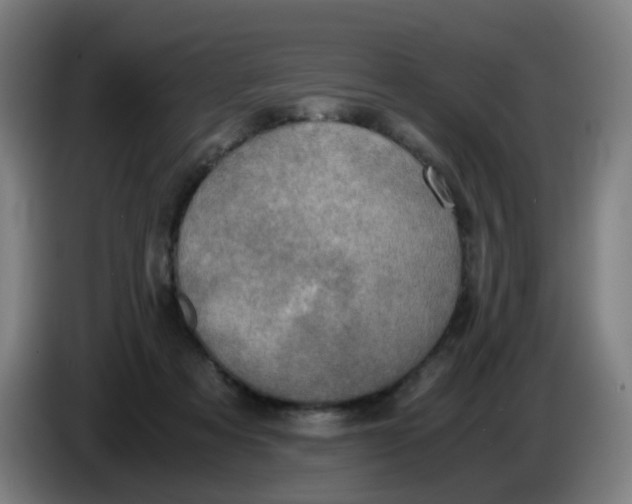 X0000085250313200703301816