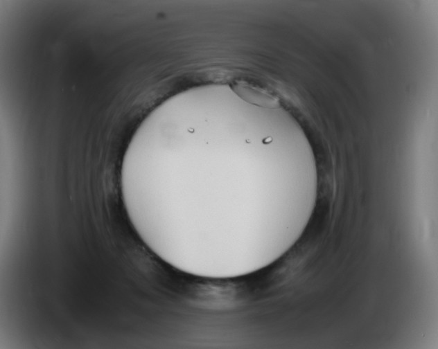 X0000085250317200703301816