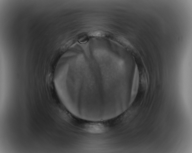 X0000085250322200703301816