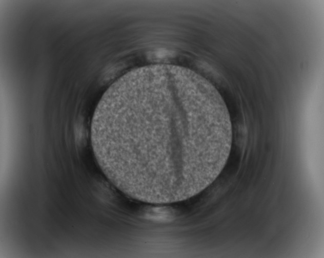 X0000085250324200703301816