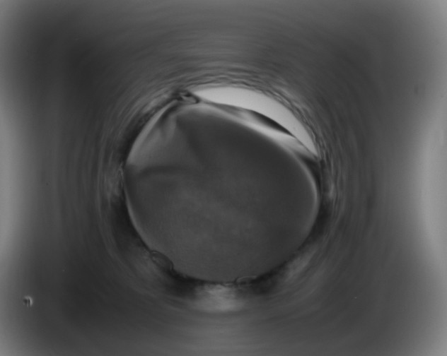 X0000085250325200703301816