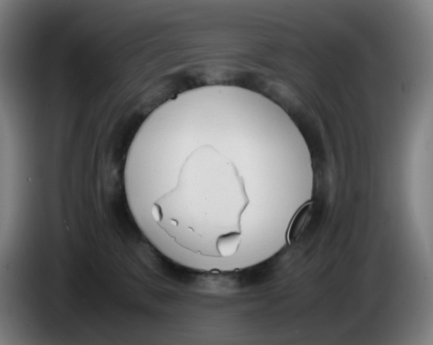 X0000085250327200703301816