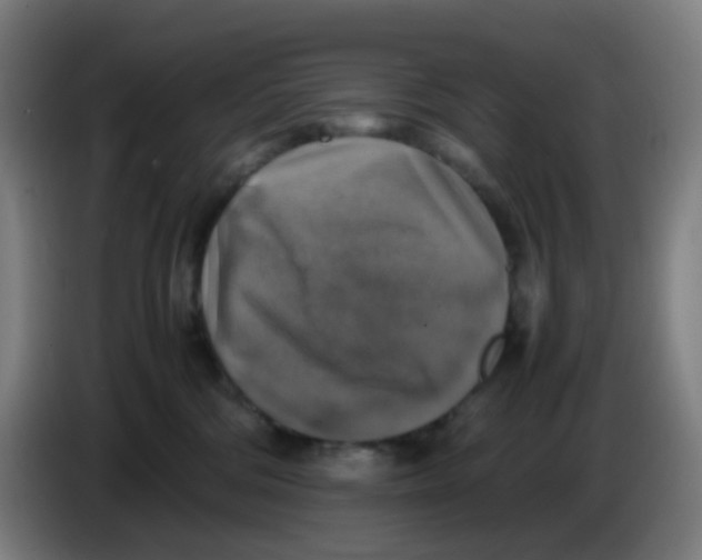 X0000085250330200703301816