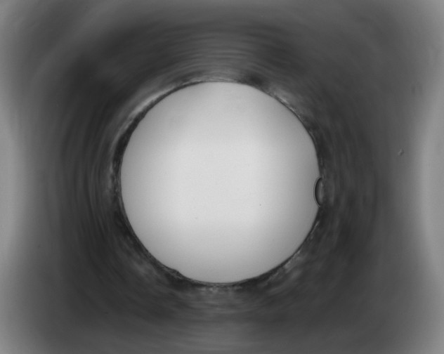 X0000085250338200703301815