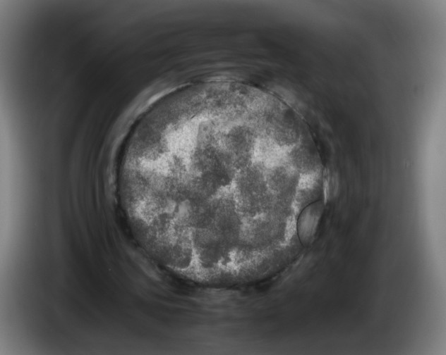 X0000085250339200703301815