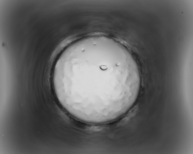 X0000085250341200703301815