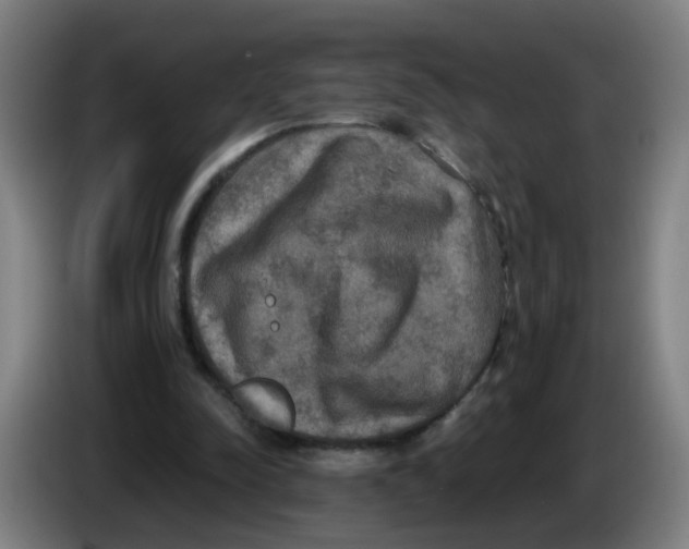 X0000085250342200703301815