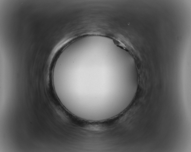 X0000085250344200703301815