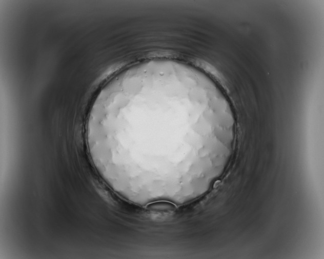 X0000085250345200703301815