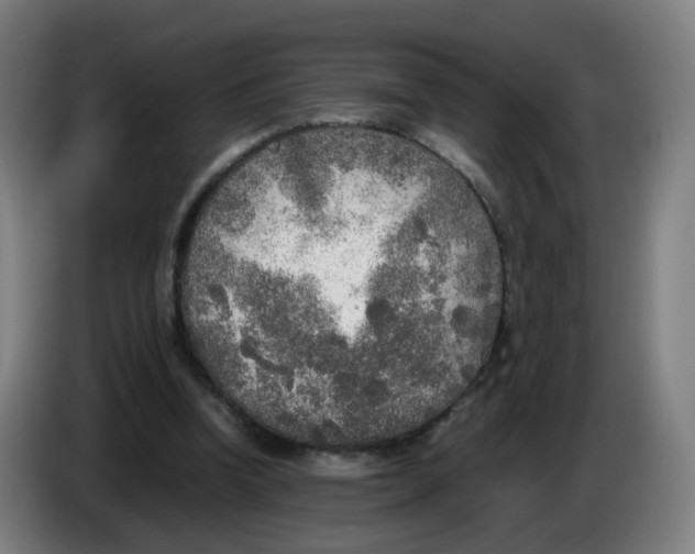 X0000085250346200703301815