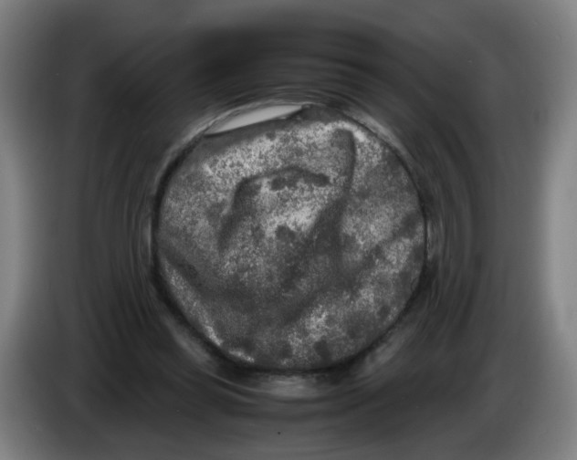 X0000085250349200703301815