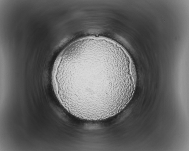 X0000085250354200703301815