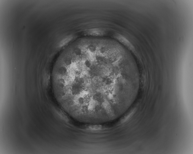 X0000085250355200703301815