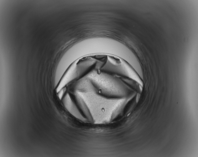 X0000085250356200703301815