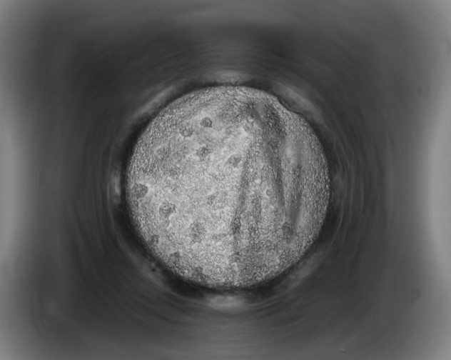 X0000085250358200703301815