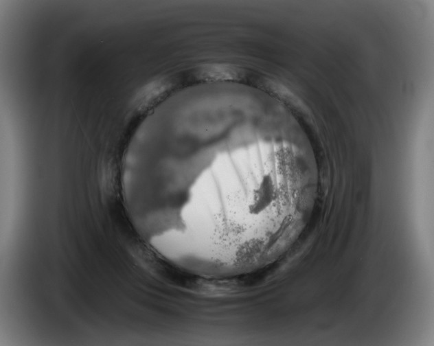 X0000085250359200703301815