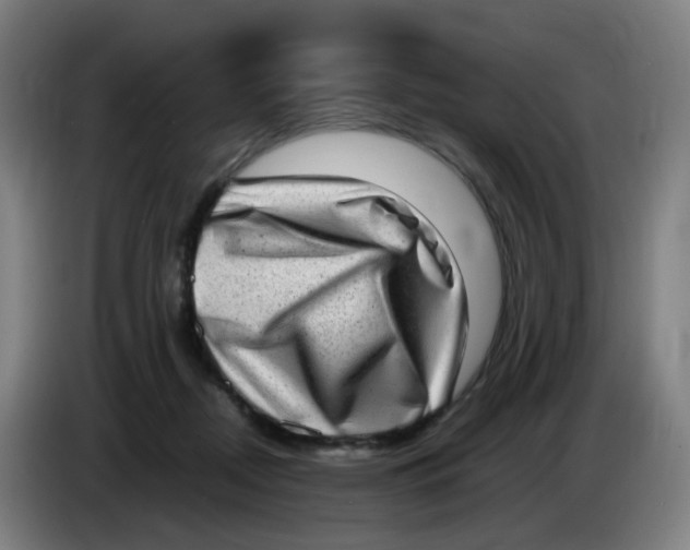 X0000085250362200703301815