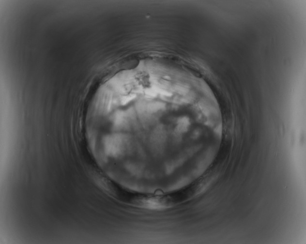 X0000085250365200703301815