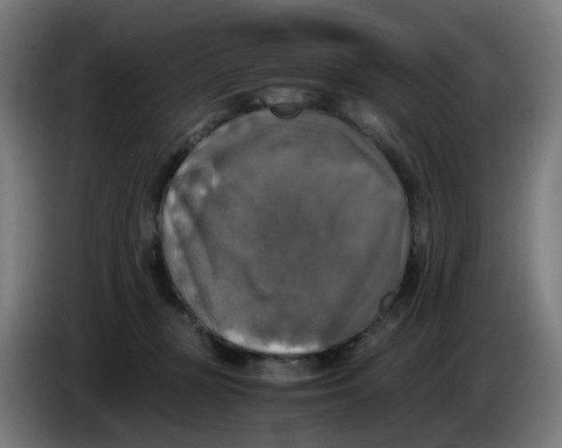 X0000085250367200703301815