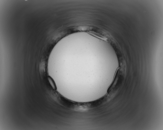 X0000085250368200703301815