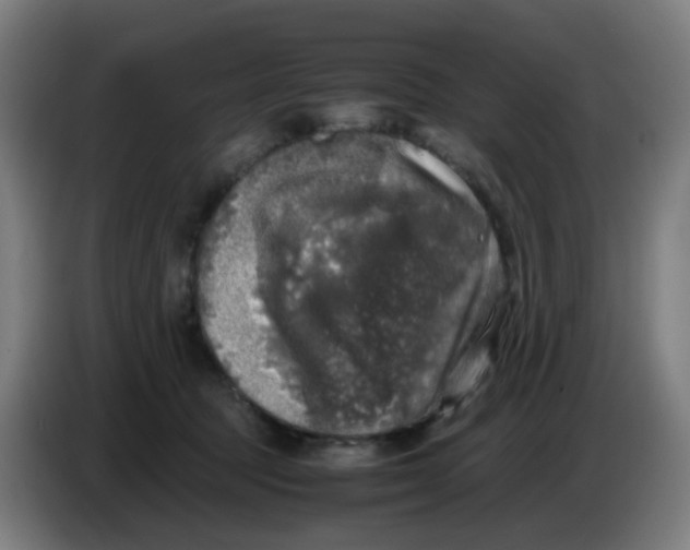 X0000085250369200703301815